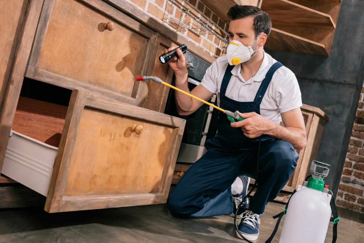 pest control worker spraying pesticides in cabinet in kitchen and using flashlight