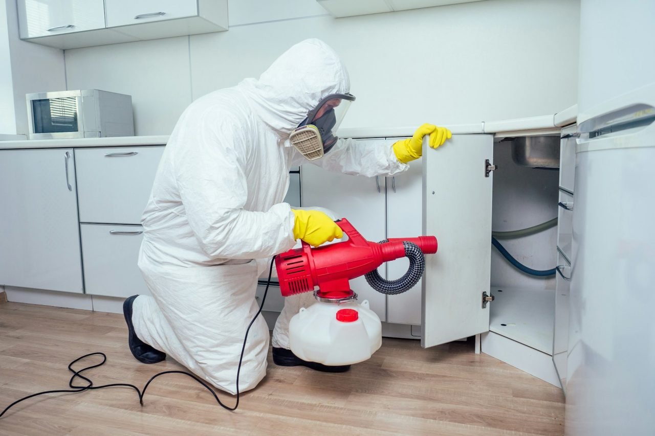 white worker spraying pesticide on induction hob