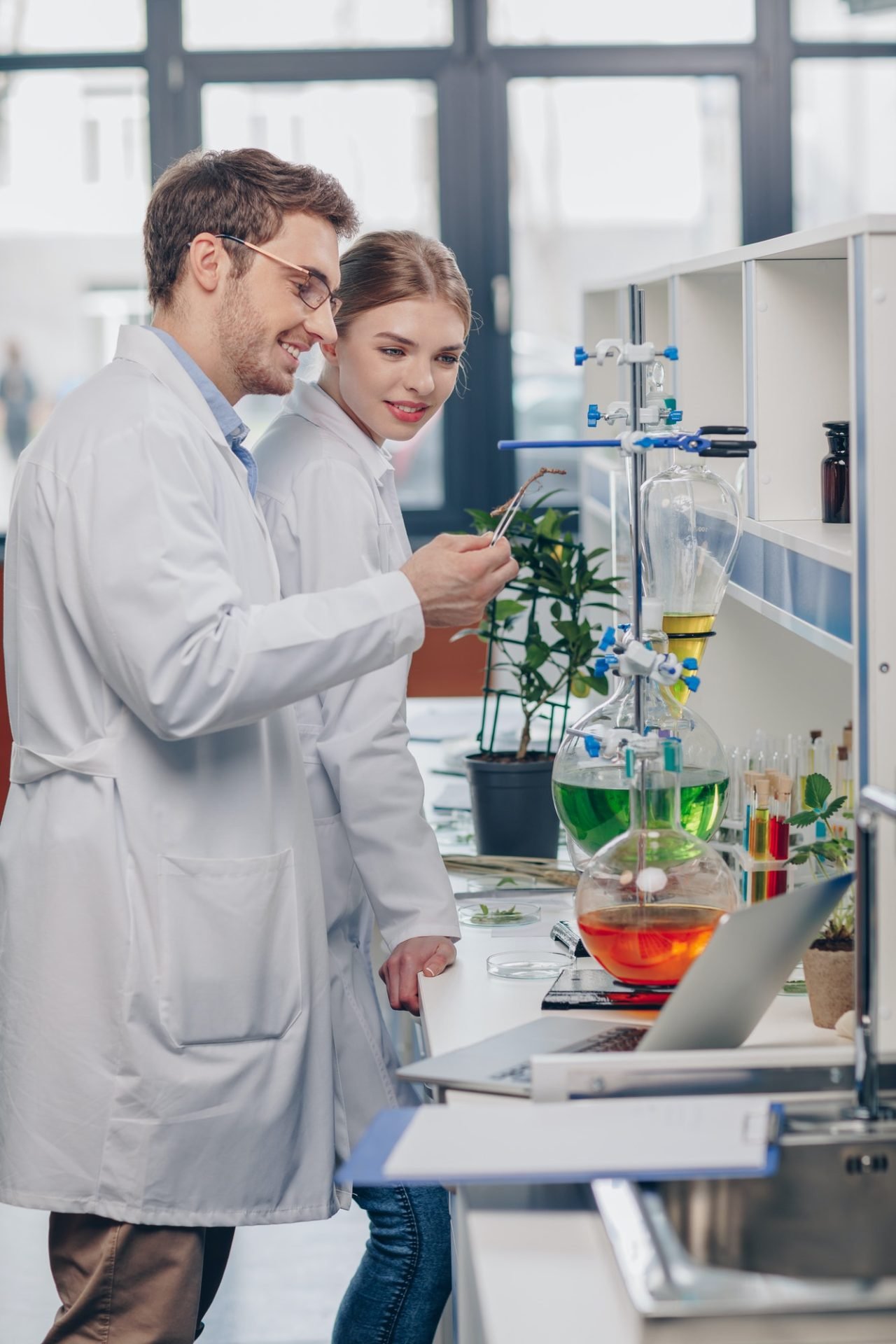 biologists in white coats working with flasks, reagents and lemon plant in laboratory