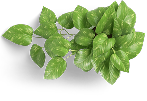 leaf-icon